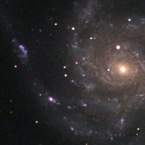 SN2023ixf in M101 17 and 24 may 2023
