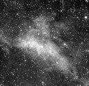 IC1318 North