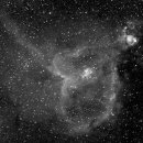 Running dog nebula and IC1848