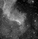 N-america nebula (detail)